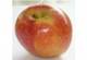 תפוח בדבש מאת: מירה כהן שטרקמן (N.D.) (R.Na) 